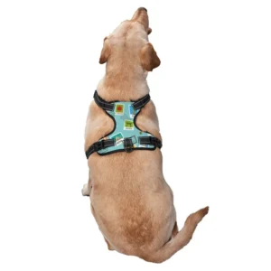 Eco-friendly pet accessories like collars and leashes.