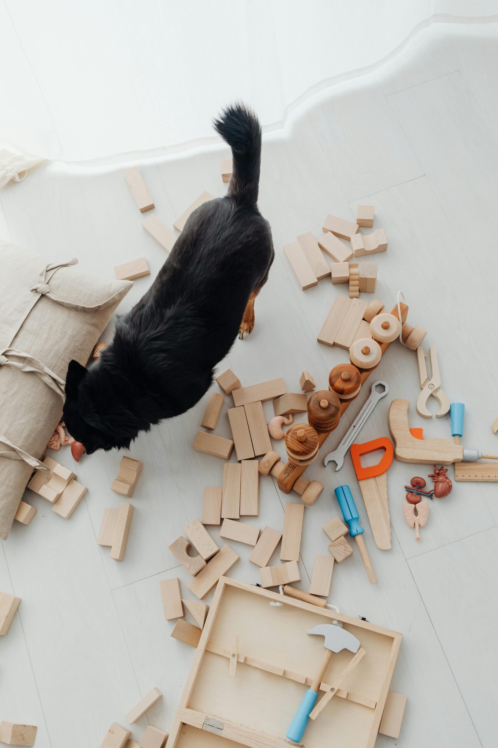   Puppy surrounded by safe and durable chew toys