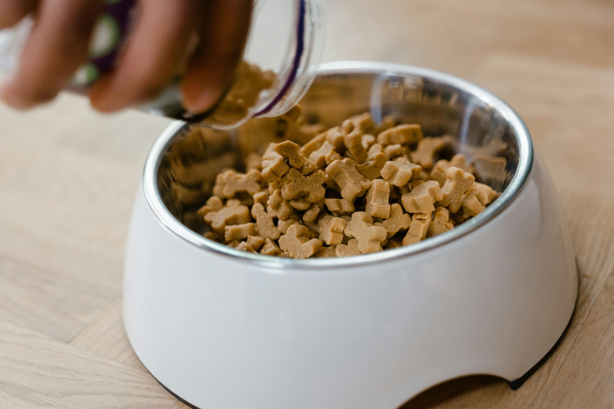 Close-up of plant-based dog biscuits in a compostable bag.