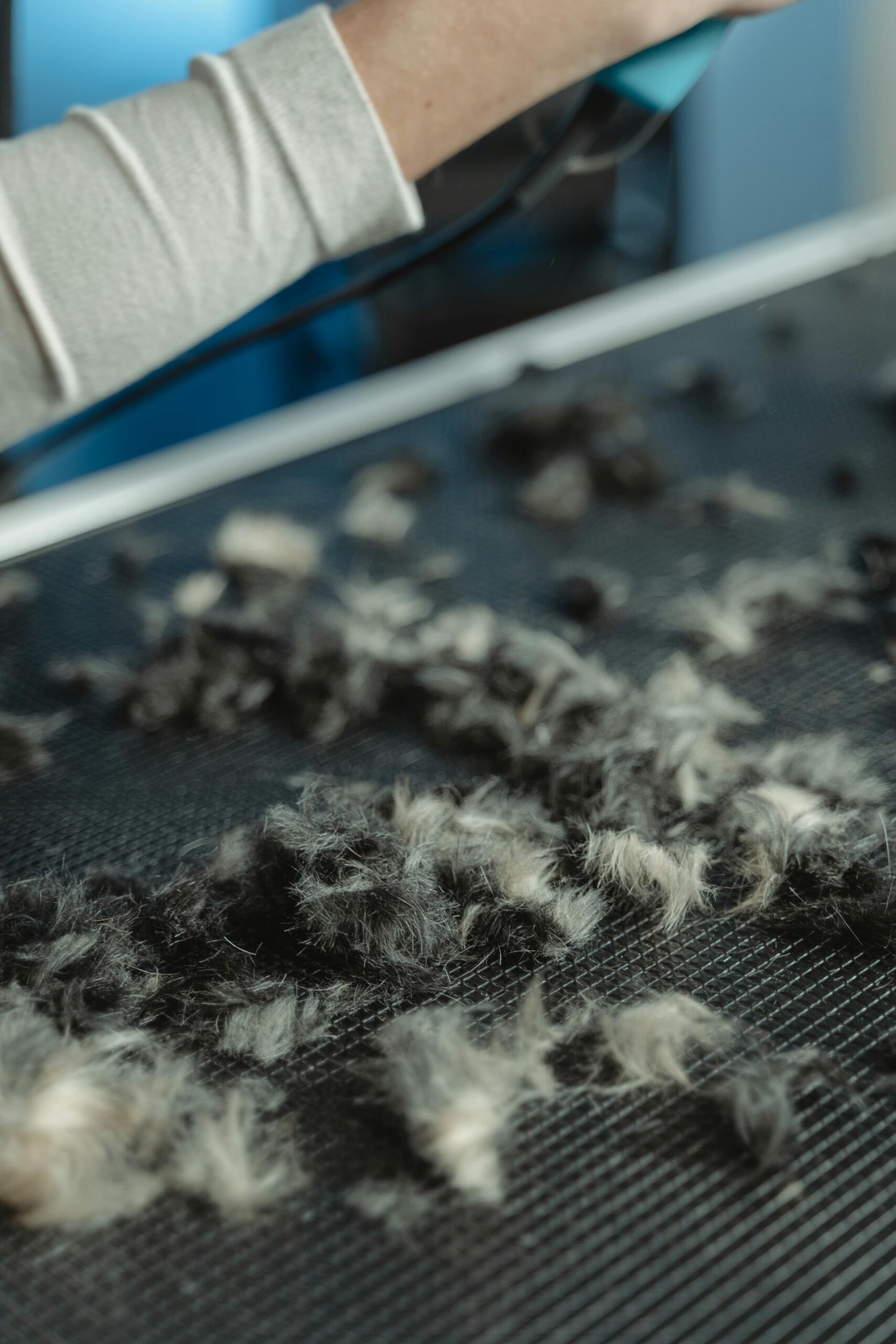 Close-up image showing dog hair stuck in the rubber seal of a washing machine door, highlighting a common problem area