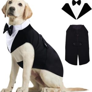 Doggie groom suit