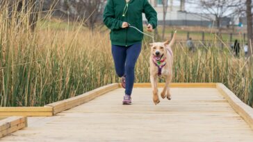 Fitness dogs